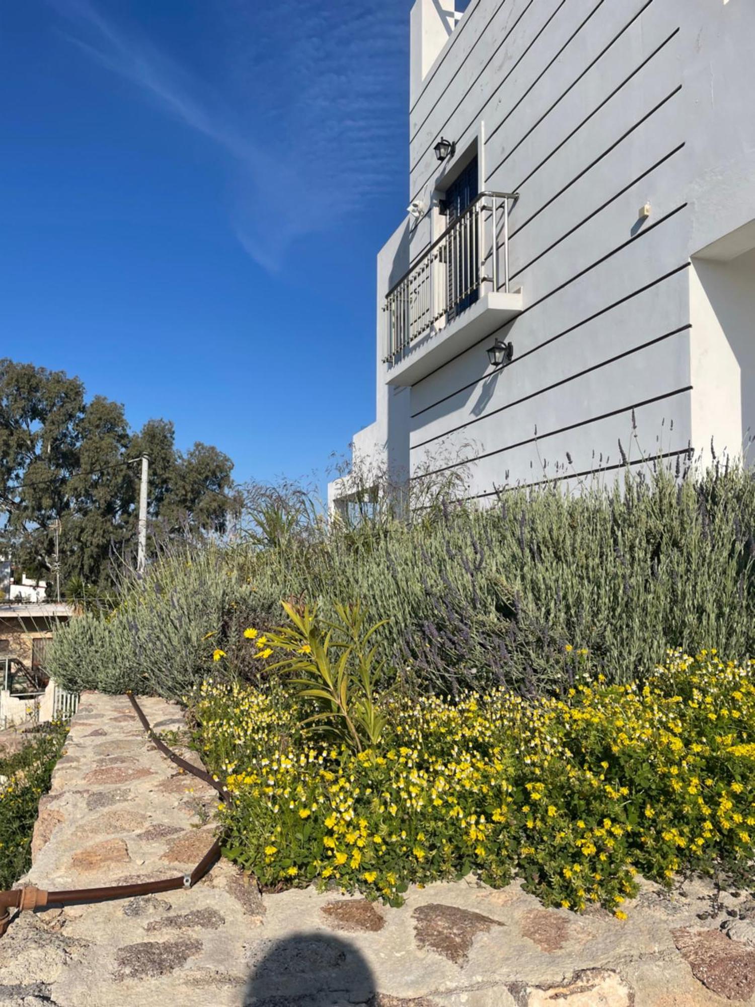 Souvala /Aegina. Excellent Location Luxury Villa. Vathi  ภายนอก รูปภาพ